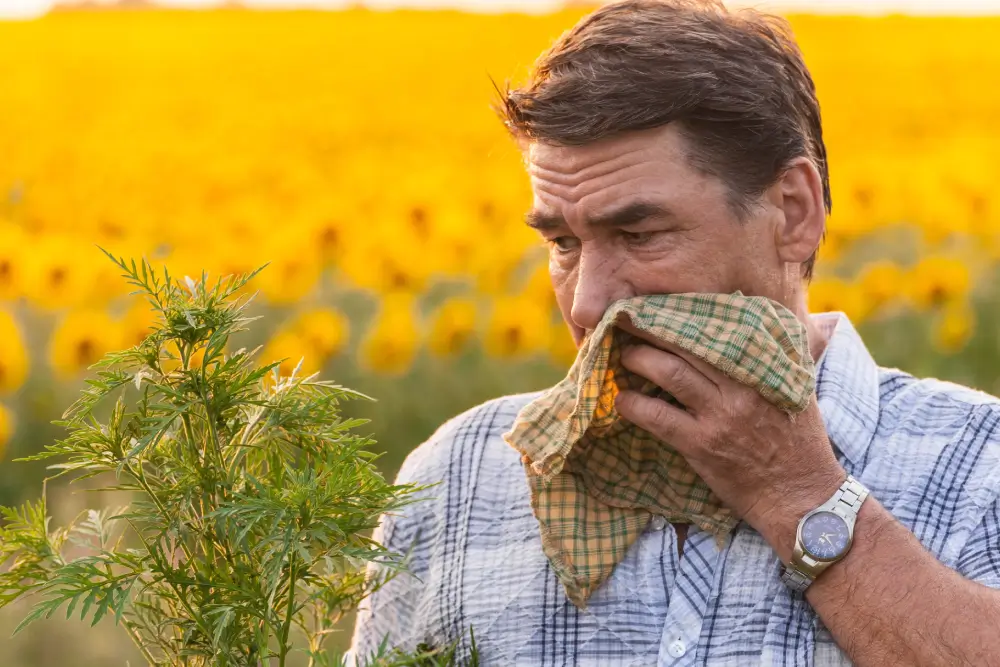 Environmental Allergies Care